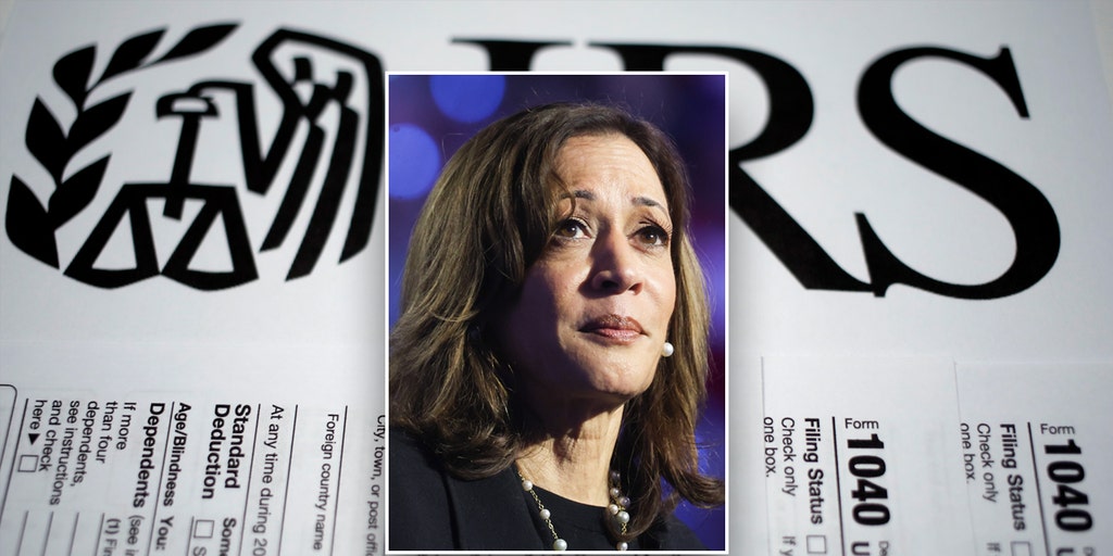 stock-market-would-crash-under-harris’-tax-plan,-billionaire-hedge-fund-manager-warns