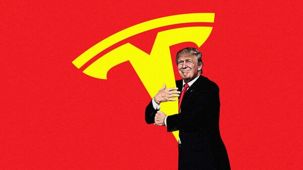 tesla-shares-surge-14%-in-premarket-trading-as-donald-trump-claims-us-election-win,-hails-’super-genius’-elon-musk