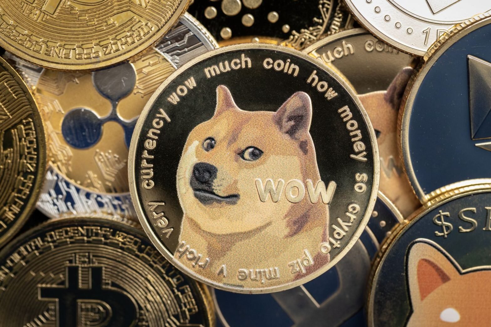 forget-doge,-here’s-1-stock-to-invest-in-the-next-crypto-bull-market