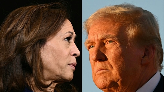 This combination of pictures created on November 04, 2024 shows, L-R, Democratic presidential nominee, US Vice President Kamala Harris speaking to members of the media before leaving her hotel in Madison, Wisconsin on October 31, 2024 and former US President and Republican presidential candidate Donald Trump speaking during a campaign rally at site of his first assassination attempt in Butler, Pennsylvania on October 5, 2024.(Brendan Smialowski and Jim Watson/AFP)