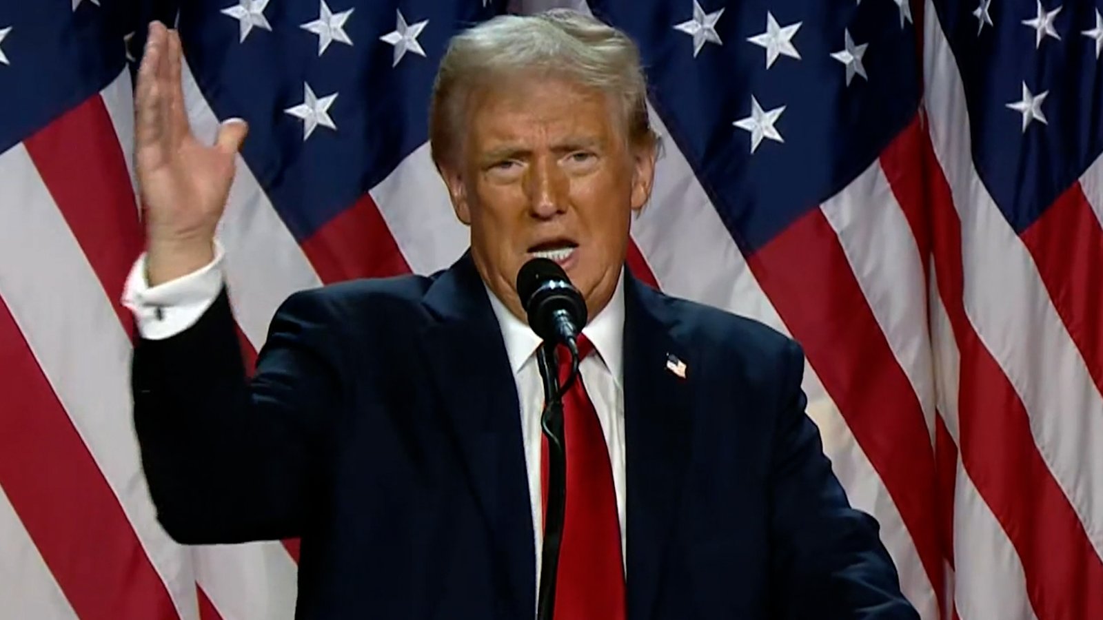Click to play video: 'U.S. election 2024: Trump promises ‘golden age of America’ in speech to supporters'