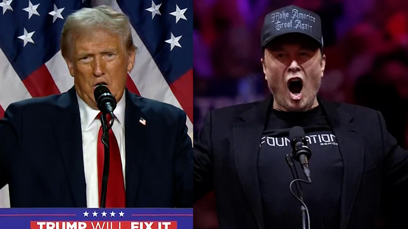 Click to play video: '‘A star is born’: Trump praises Elon Musk in speech claiming presidential victory'