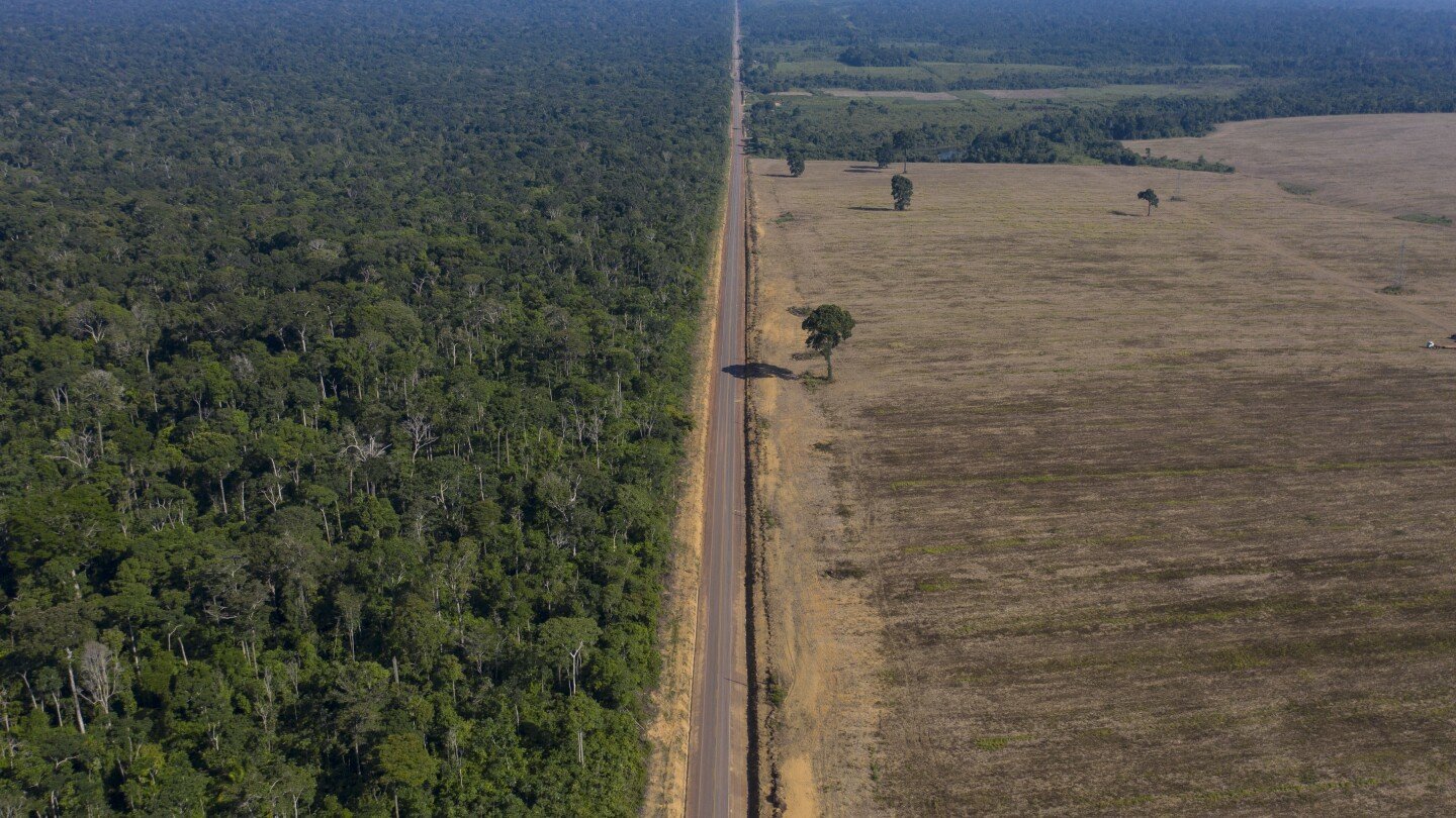 environmental-groups-condemn-new-laws-threatening-soybean-restrictions-in-brazil’s-amazon