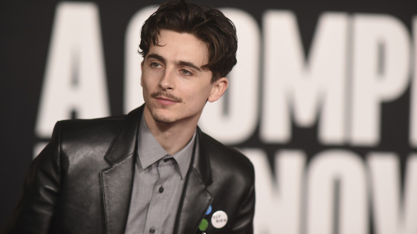 how-timothee-chalamet-transformed-into-bob-dylan