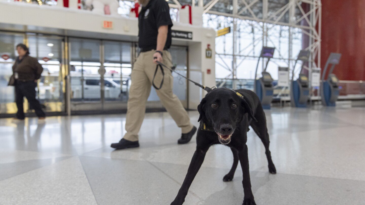 argo-the-dog,-a-tsa-calendar-star,-protects-air-travelers-by-sniffing-out-explosives