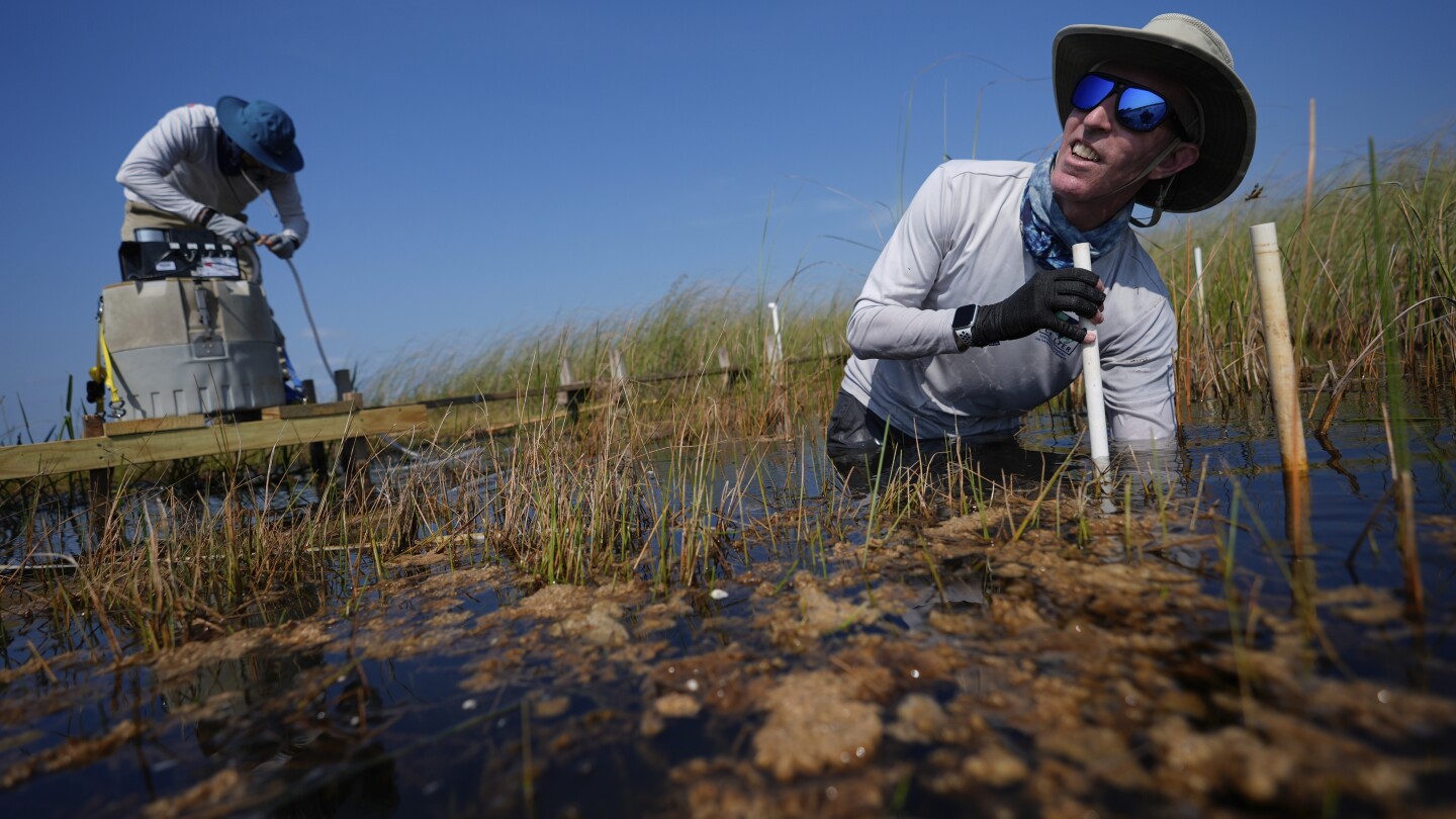 in-florida,-a-race-is-on-to-save-the-everglades-and-protect-a-key-source-of-drinking-water