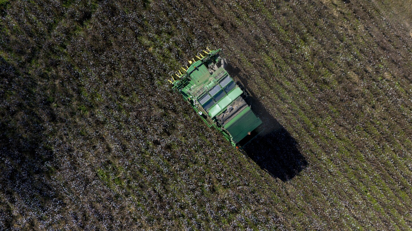 farmers-are-still-reeling-months-after-hurricane-helene-ravaged-crops-across-the-south