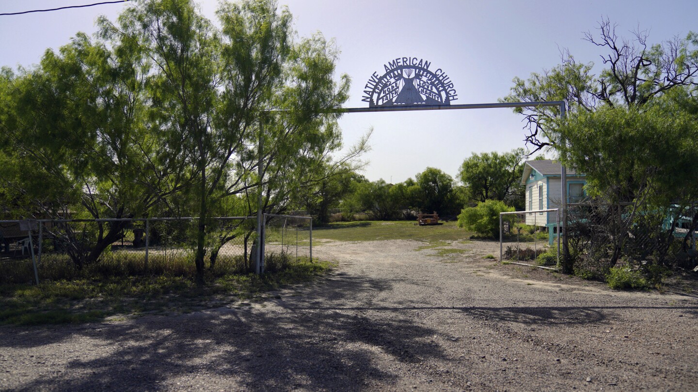 what-is-the-native-american-church-and-why-is-peyote-sacred-to-members?