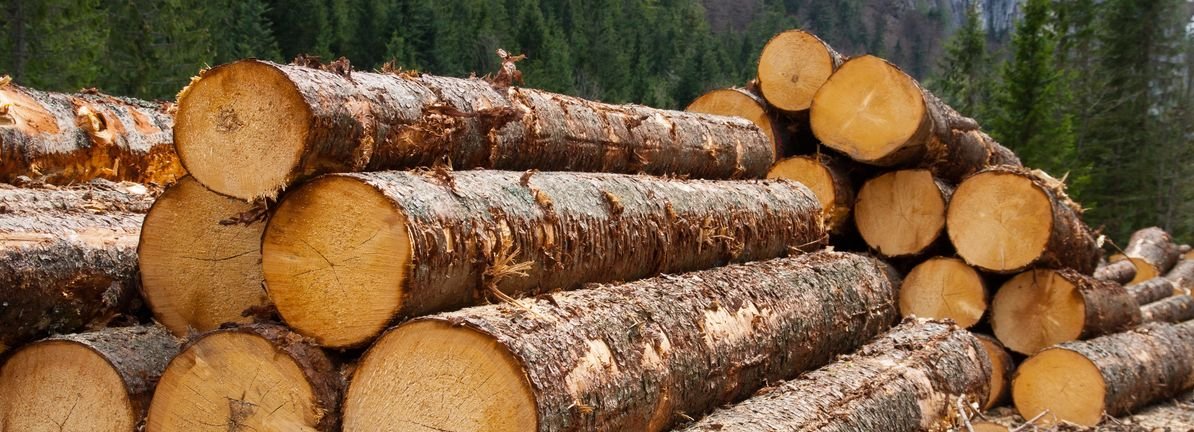 stella-jones-inc.-(tse:sj)-stock-has-shown-weakness-lately-but-financials-look-strong:-should-prospective-shareholders-make-the-leap?