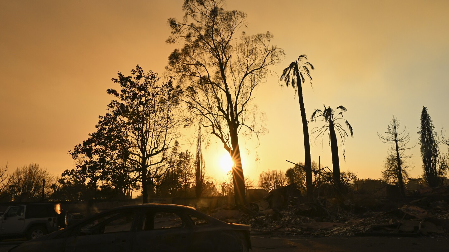 actor-steve-guttenberg-returns-to-his-once-lush-la-neighborhood-now-charred-by-devastating-wildfire