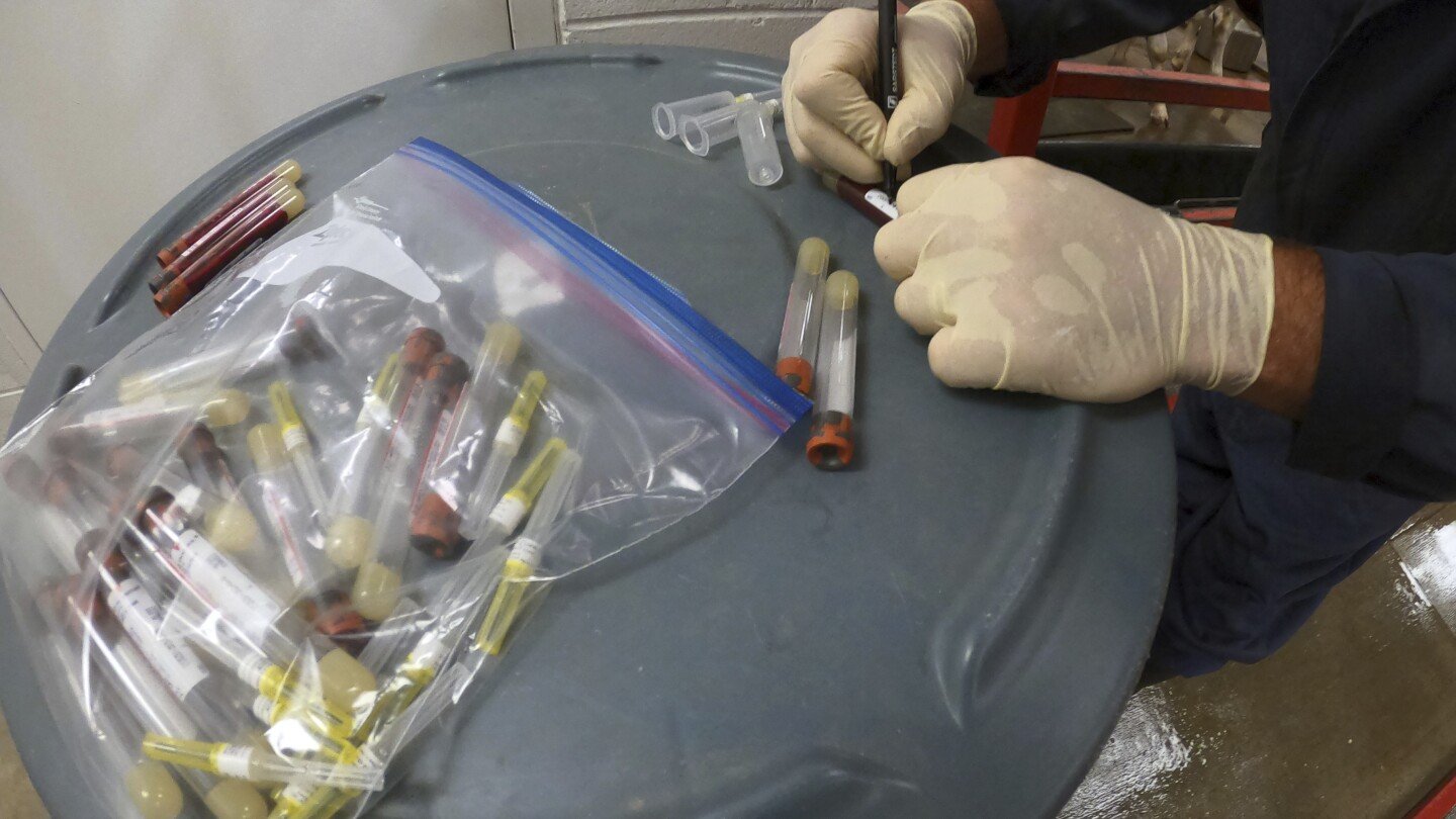 biden-health-officials-say-they-built-up-us-pandemic-defenses.-trump-promises-changes