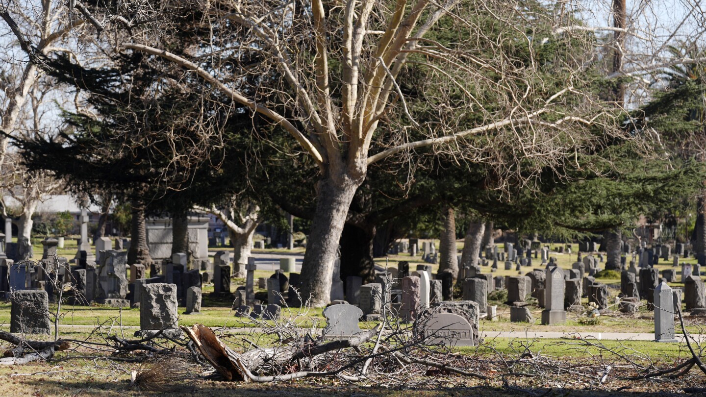 octavia-butler-imagined-la-ravaged-by-fires.-her-altadena-cemetery-survived