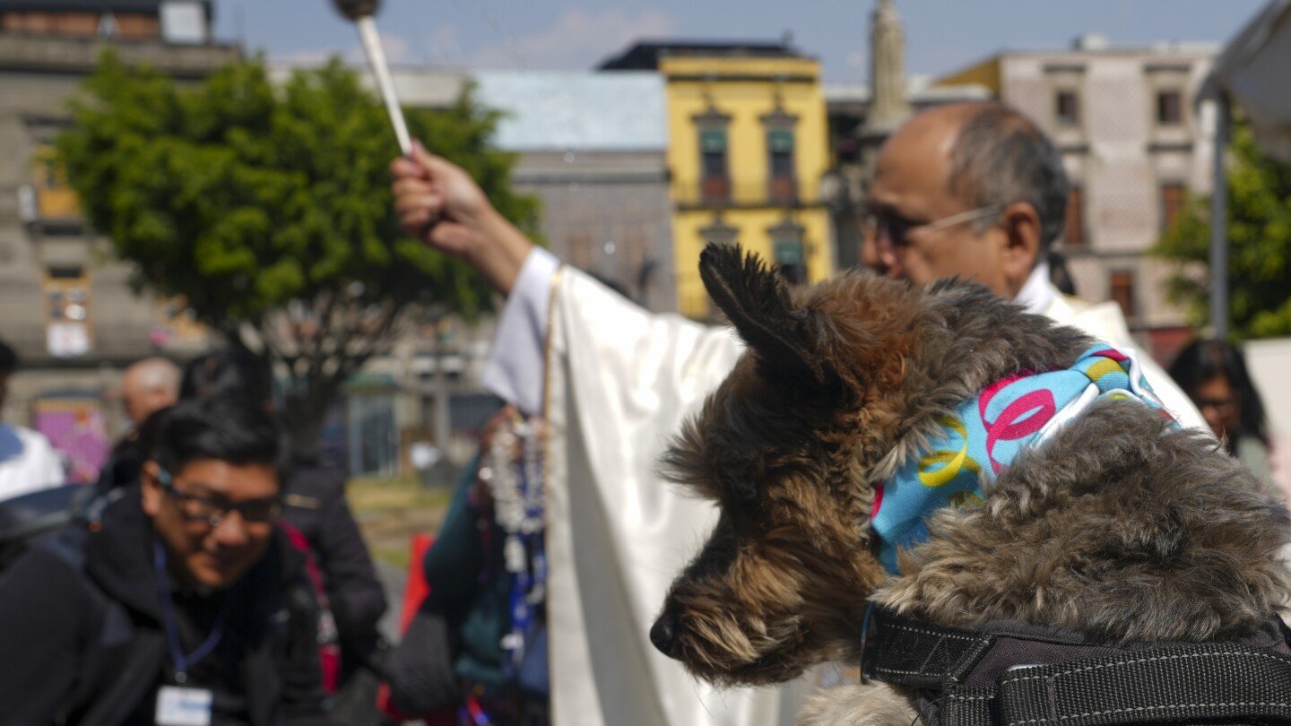 blessings-for-dogs?-bring-them-to-mexico-city’s-cathedral-and-st.-anthony-will-do-the-rest