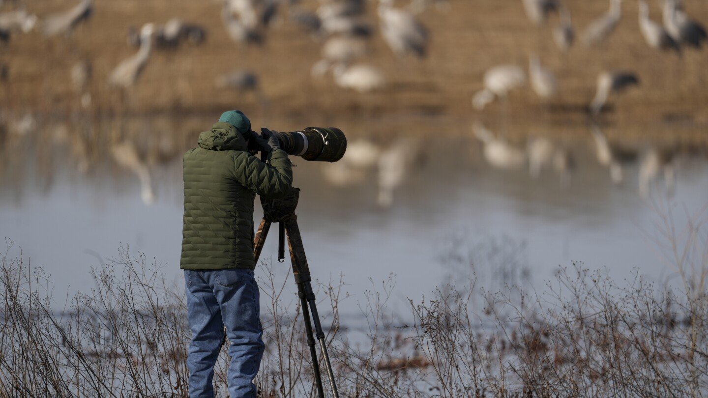 alabama-refuge-is-a-paradise-for-birders-and-thousands-of-migrating-sandhill-cranes
