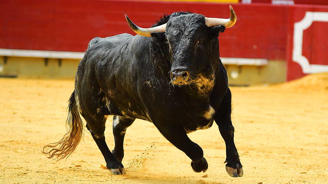 stock-market-takes-this-bullish-step-as-oil,-treasury-bonds-cool-off;-two-screens-explain-why-it’s-time-to-buy