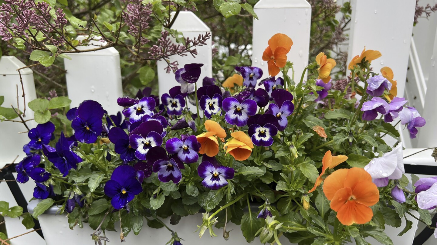 a-healthy-resolution-for-2025?-start-a-garden.-tips-for-beginners