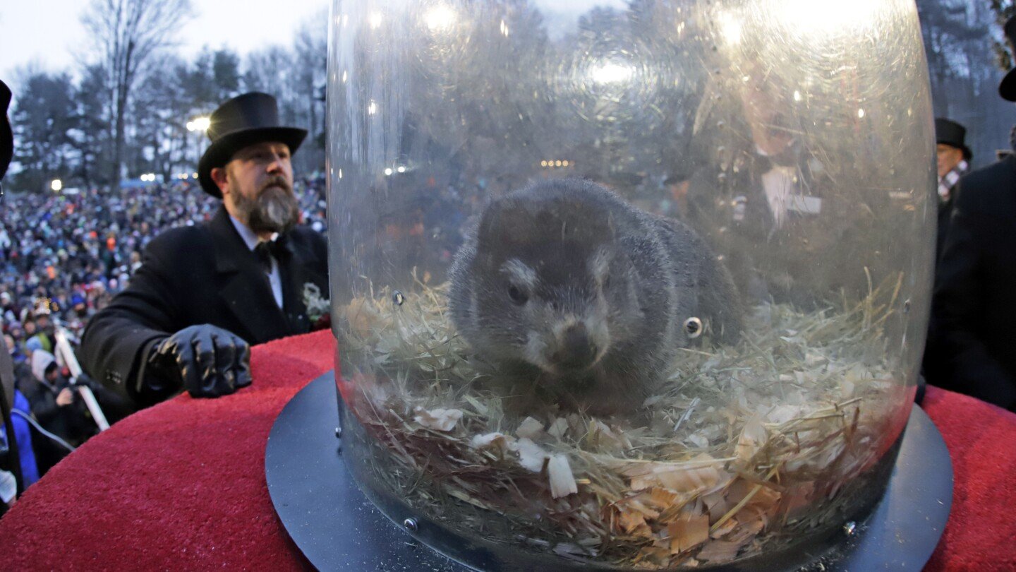 punxsutawney-phil-to-emerge-with-his-annual-prediction-about-the-end-of-winter