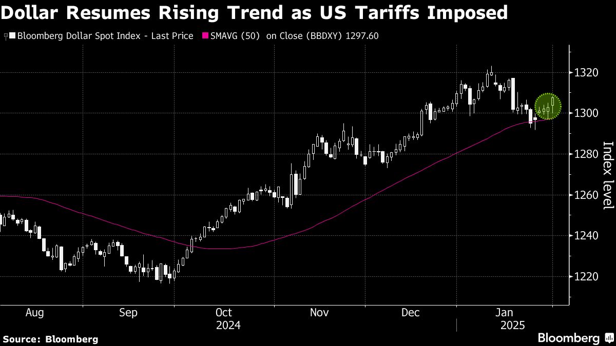 dollar-surges,-stocks-set-to-fall-on-trump-tariffs:-markets-wrap