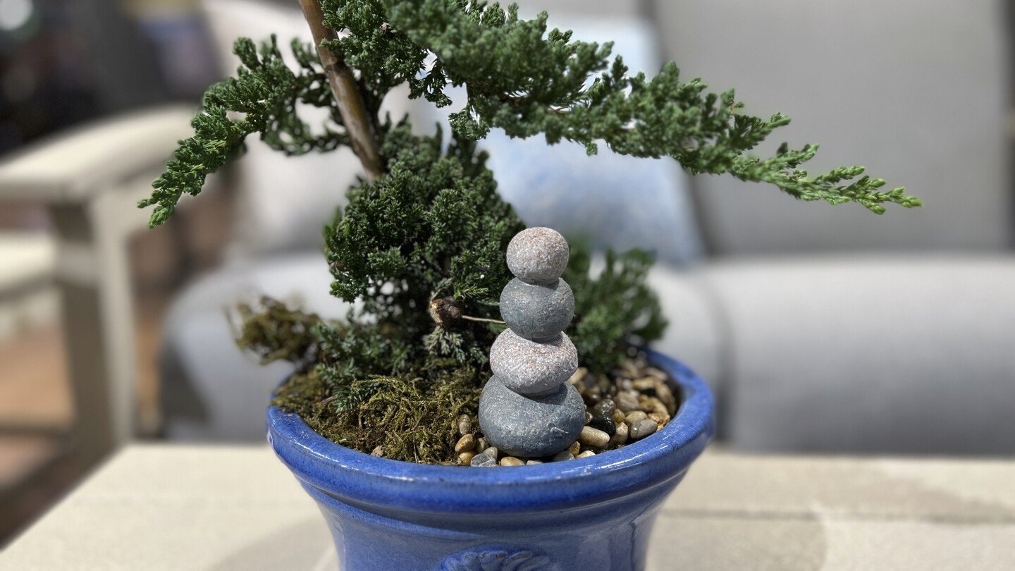 be-patient-and-don’t-be-intimidated-by-growing-a-bonsai