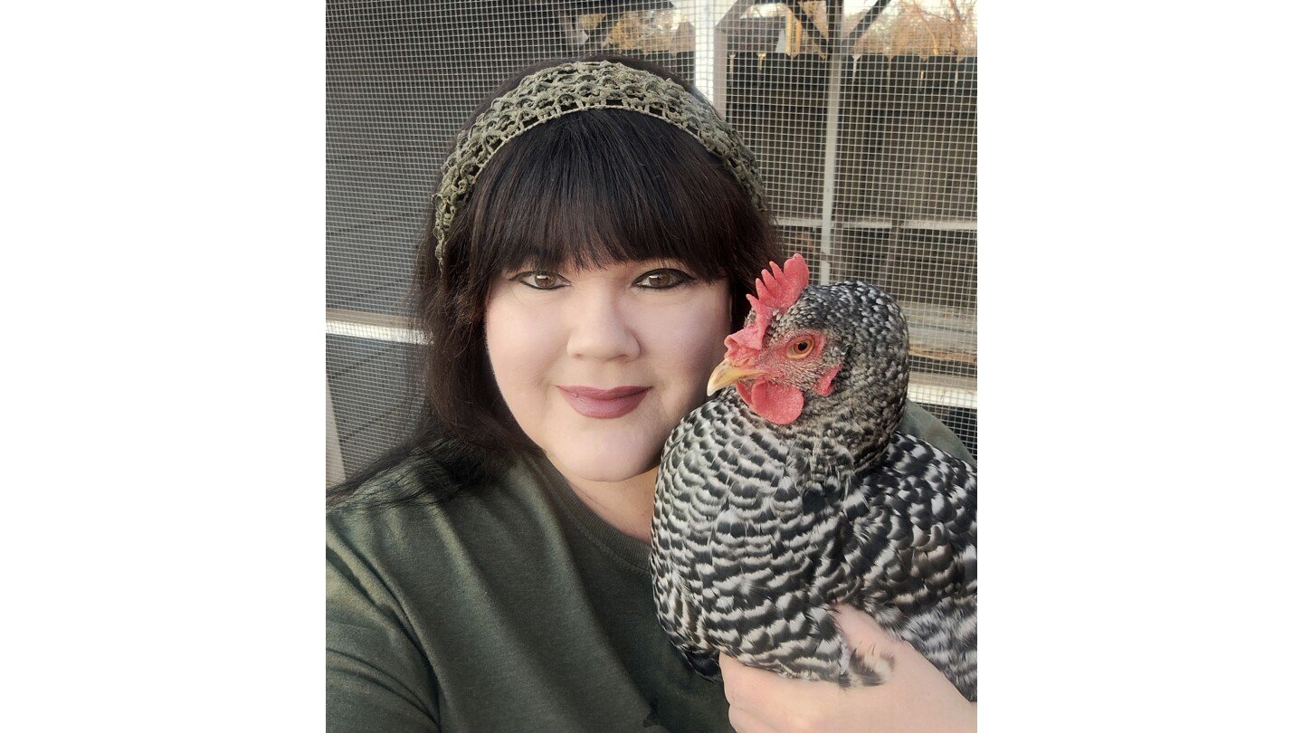 soaring-egg-prices-are-piquing-interest-in-backyard-chickens