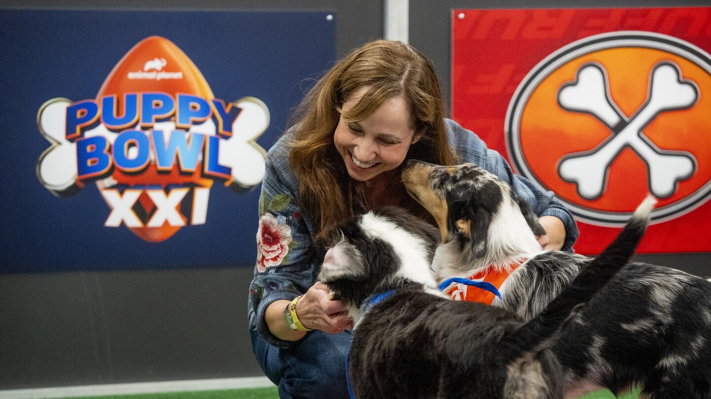 meet-the-woman-keeping-the-adorable-pups-happy-at-this-year’s-‘puppy-bowl’