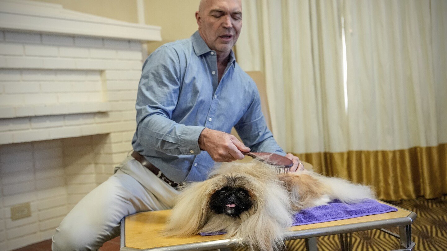 what-makes-a-dog-a-winner?-a-westminster-kennel-club-judge-explains