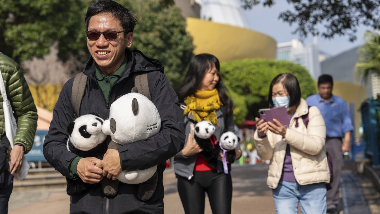 unos-cachorros-de-panda-gemelos-hacen-su-debut-ante-el-publico-en-hong-kong