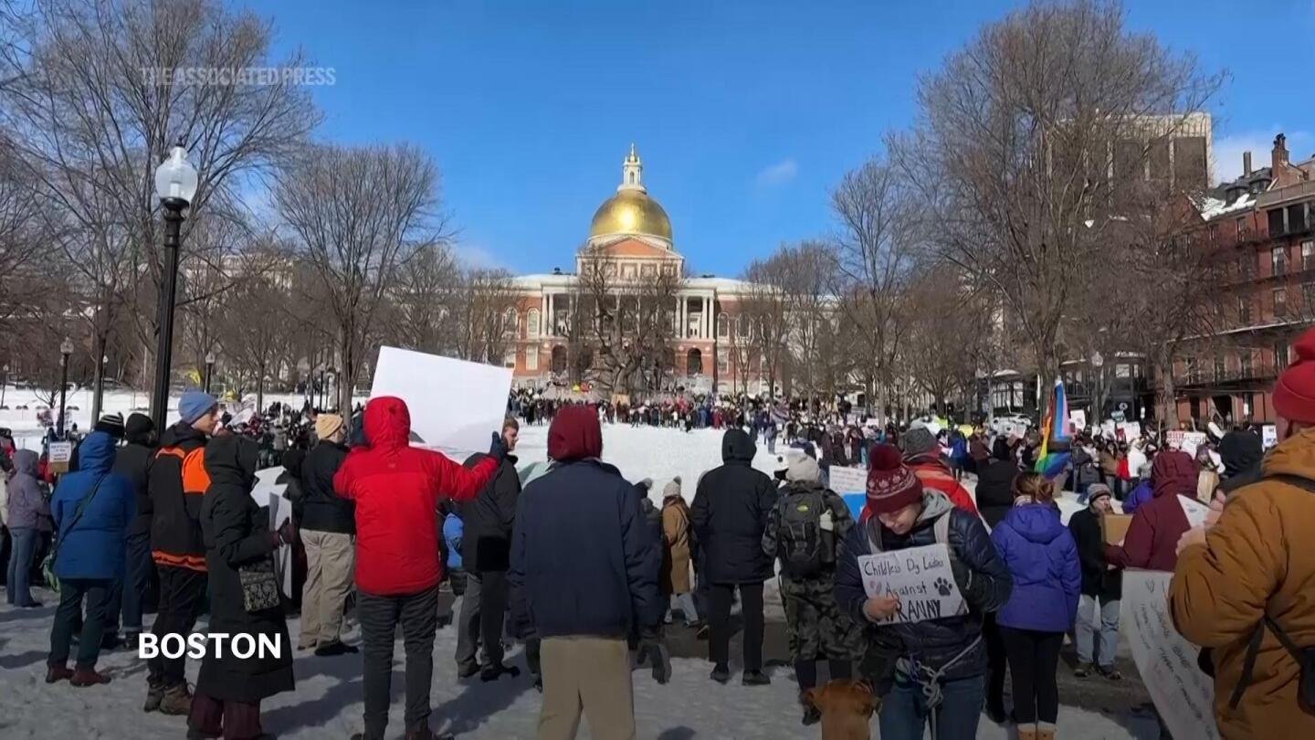 ‘no-kings-on-presidents-day’-rings-out-from-holiday-protests-against-trump-and-musk