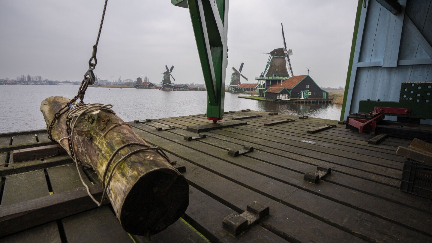the-netherlands-has-a-record-crop-of-new-millers-to-keep-the-windmill-sails-spinning