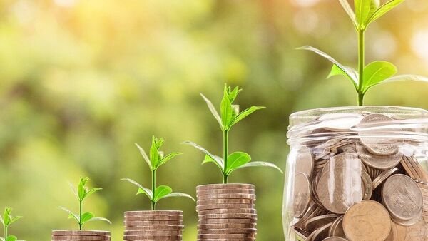 this-mid-cap-stock-rise-4%-despite-stock-market-crash.-do-you-own-it?