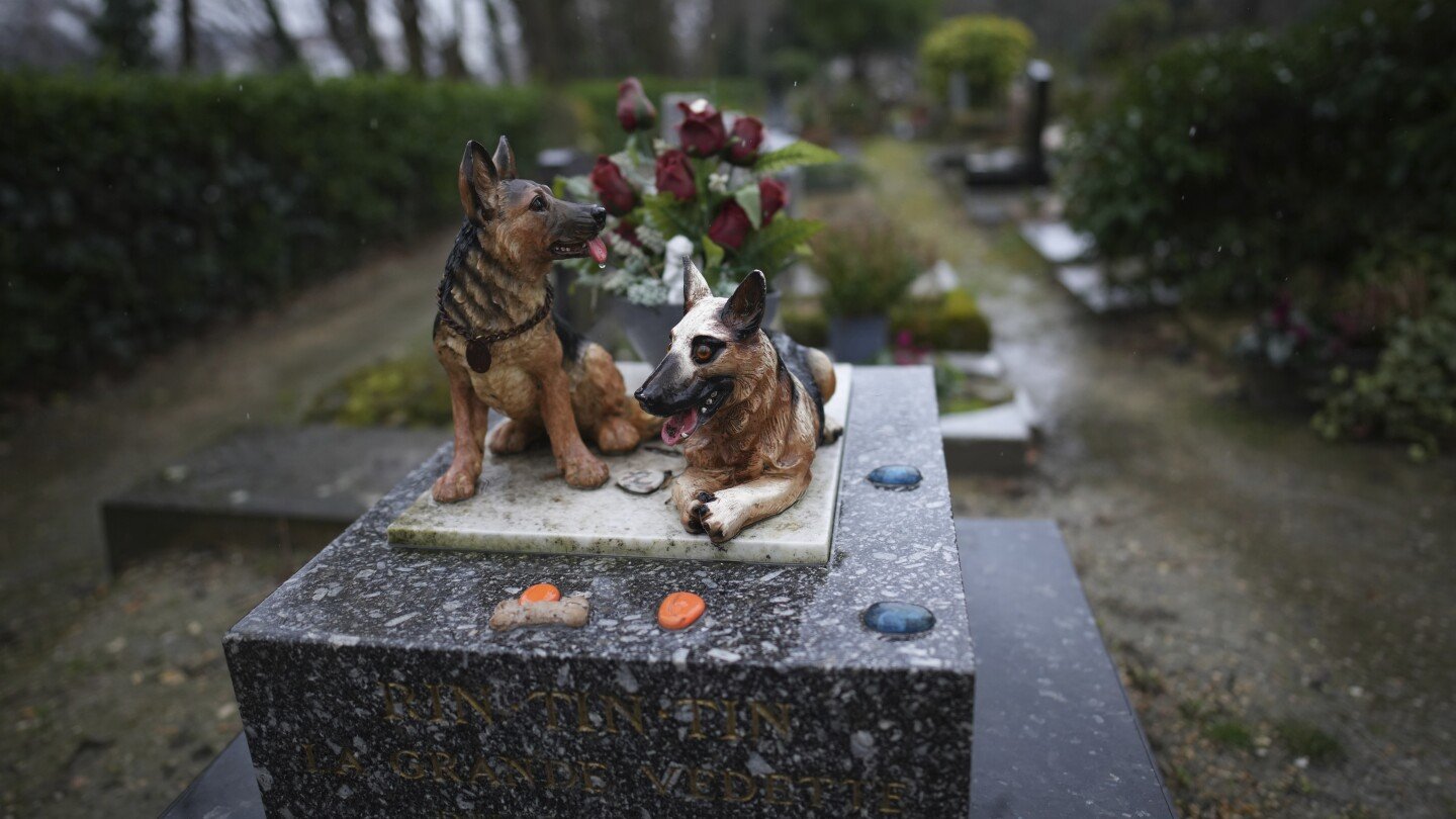 losing-a-pet-can-cut-deeper-than-many-people-realize.-here’s-how-friends-can-help