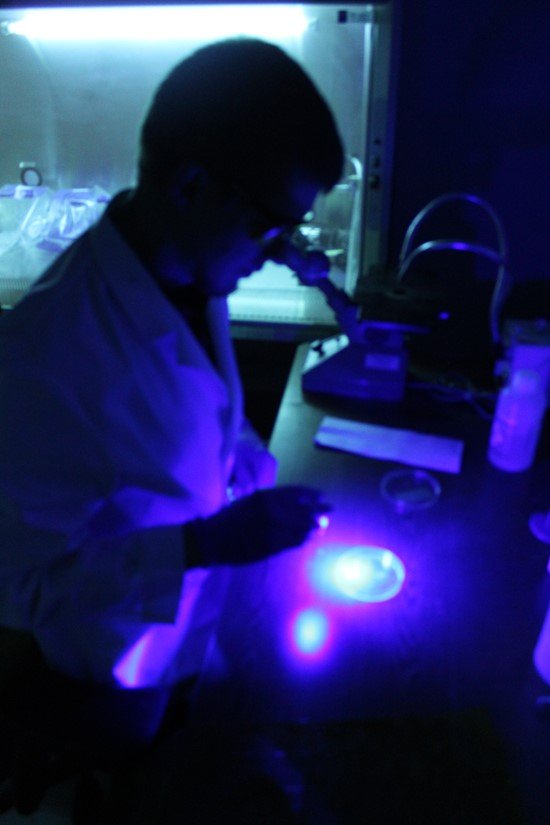 24/7-market-news-publishes-six-exciting-materials-stocks-heating-up-the-market-featuring-kraig-biocraft-laboratories