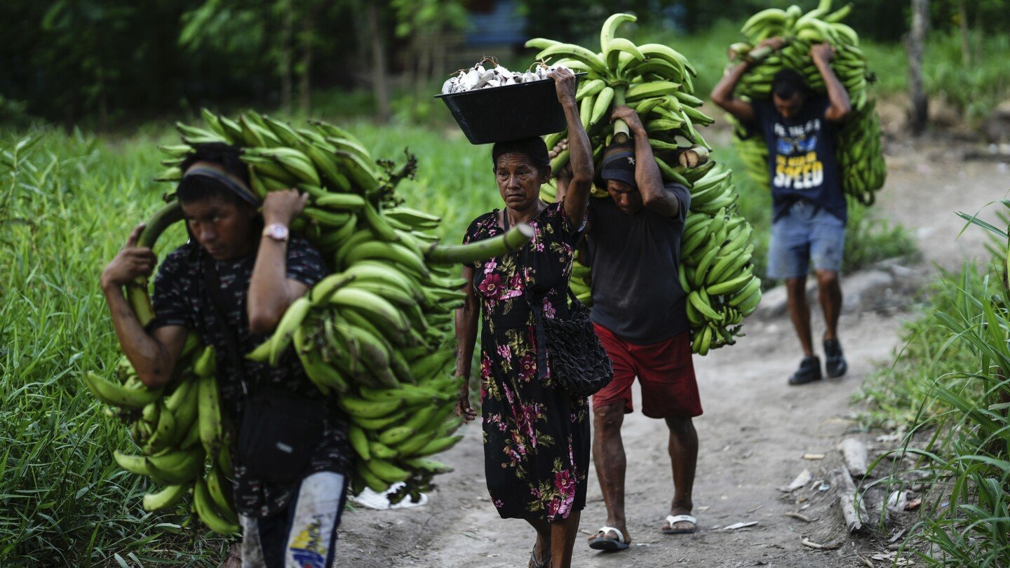 un-talks-end-in-rome-with-nations-backing-$200-billion-a-year-plan-to-protect-nature