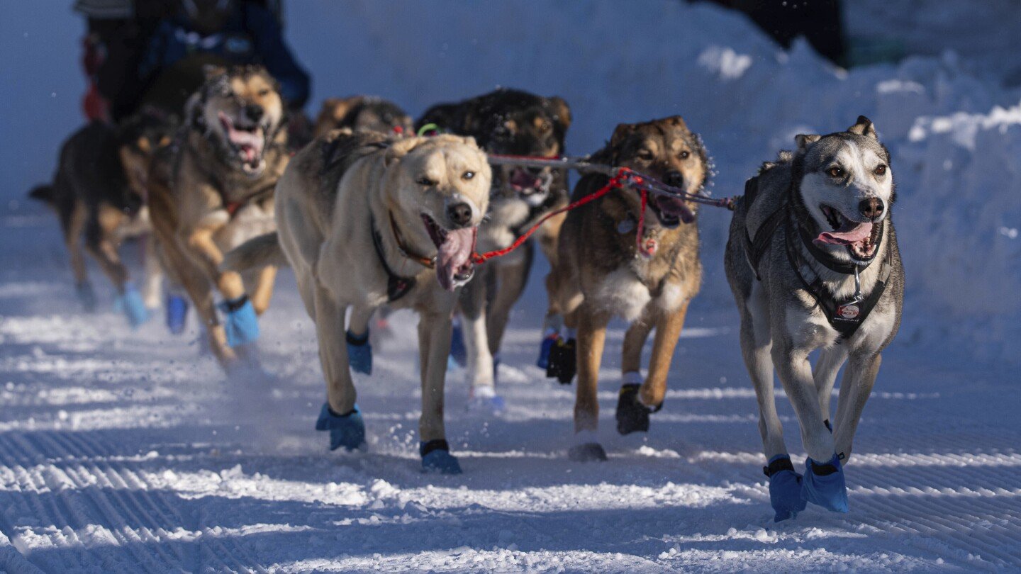 the-world’s-most-famous-sled-dog-race-is-longer-than-ever.-here’s-a-look-at-iditarod,-by-the-numbers