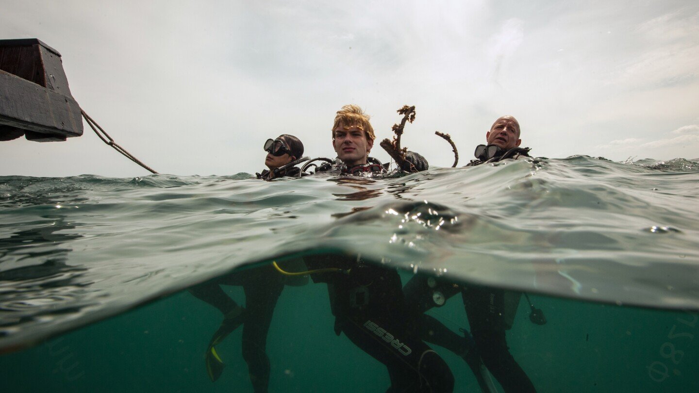 coral-reefs-in-vietnam-face-collapse.-can-conservation-efforts-turn-the-tide?