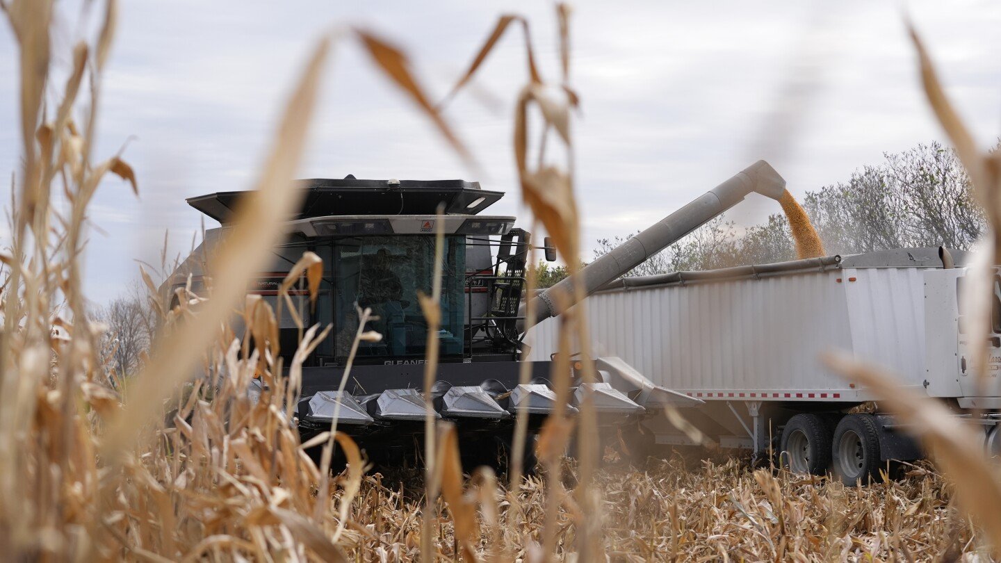 ‘bear-with-me,’-trump-says-as-both-farmers-and-consumers-brace-for-tariff-effects
