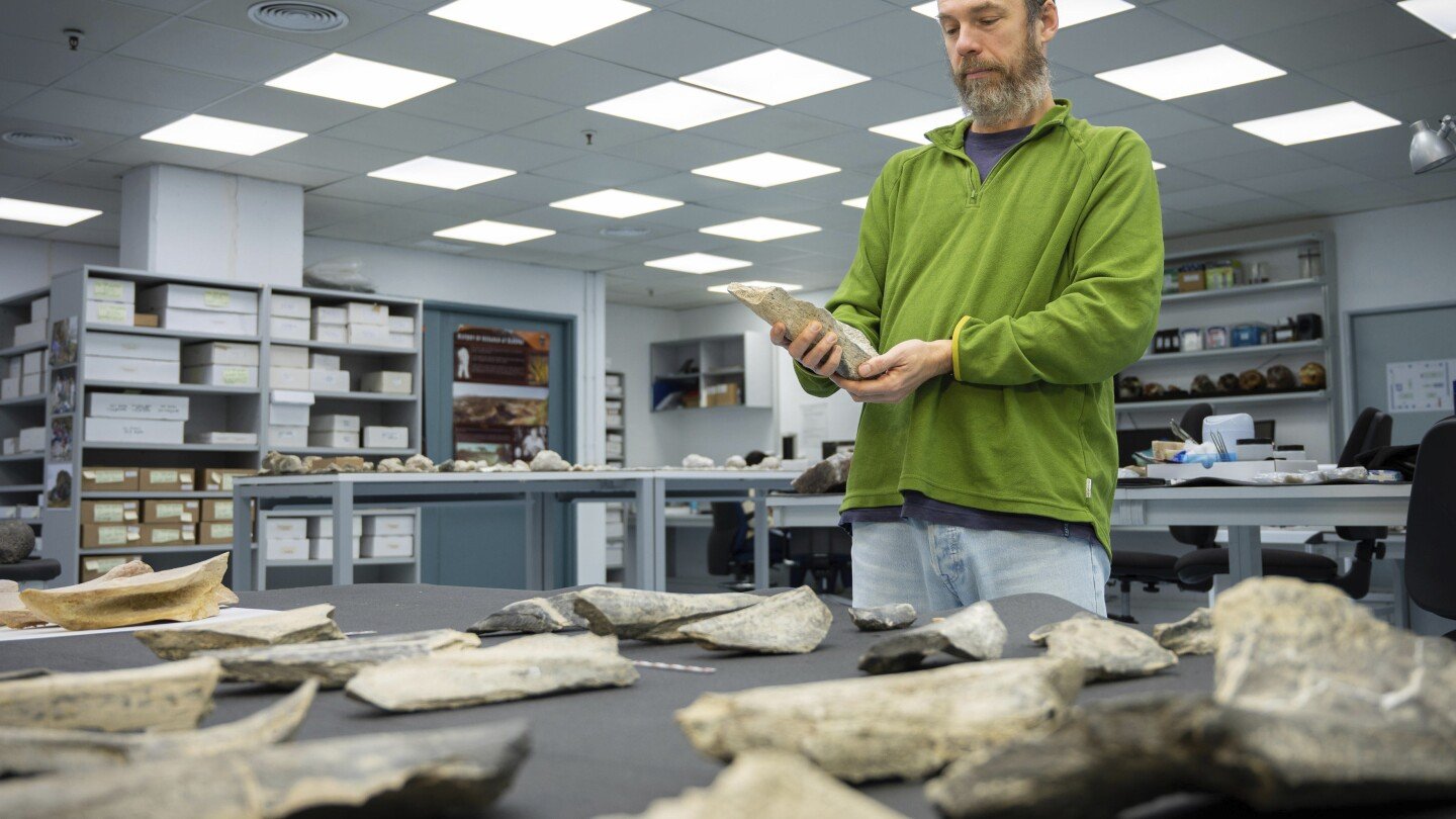 encuentran-herramientas-de-hueso-fabricadas-por-los-primeros-humanos-hace-1,5-millones-de-anos