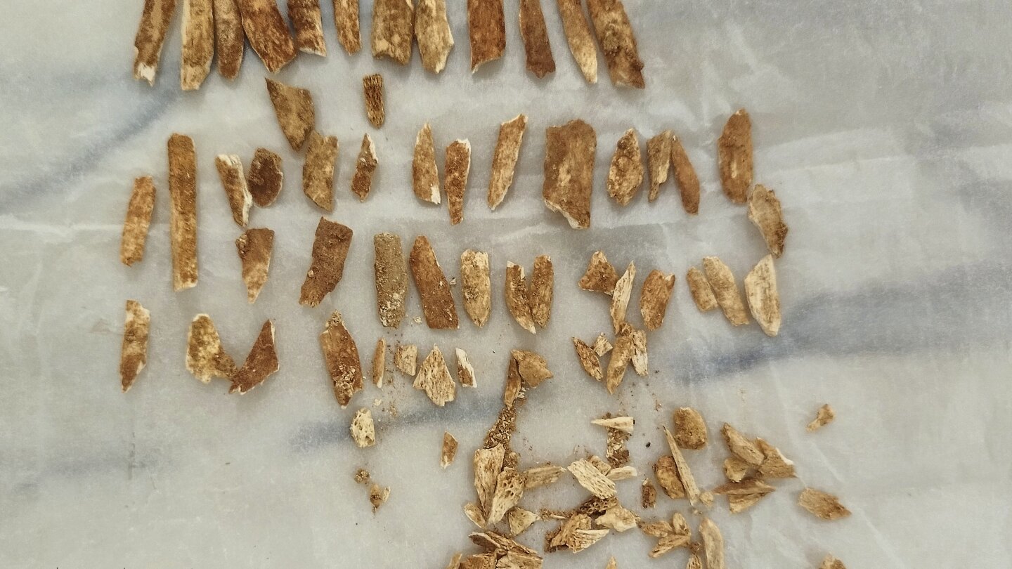 scientists-date-remains-of-an-ancient-child-that-resembles-both-humans-and-neanderthals