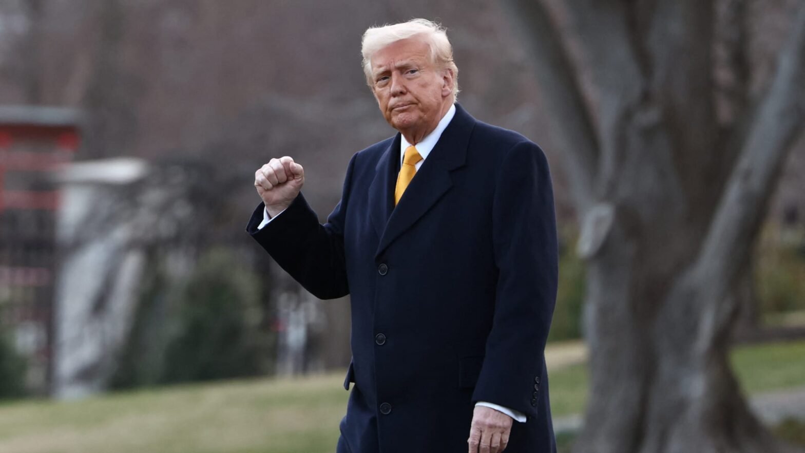 trump-says-transition-period-likely-for-economy-and-you-can’t-watch-the-stock-market