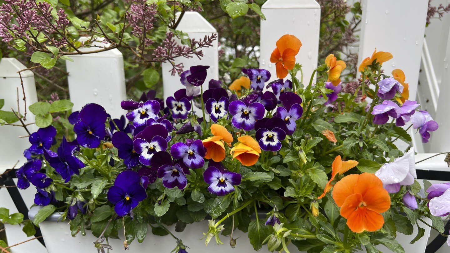 spring’s-official-start-is-nearly-here-and-there’s-work-to-do-in-the-garden.-a-checklist