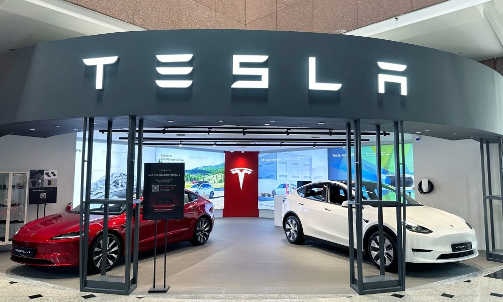 tesla-at-risk-of-95%-crash,-claims-billionaire-hedge-fund-manager
