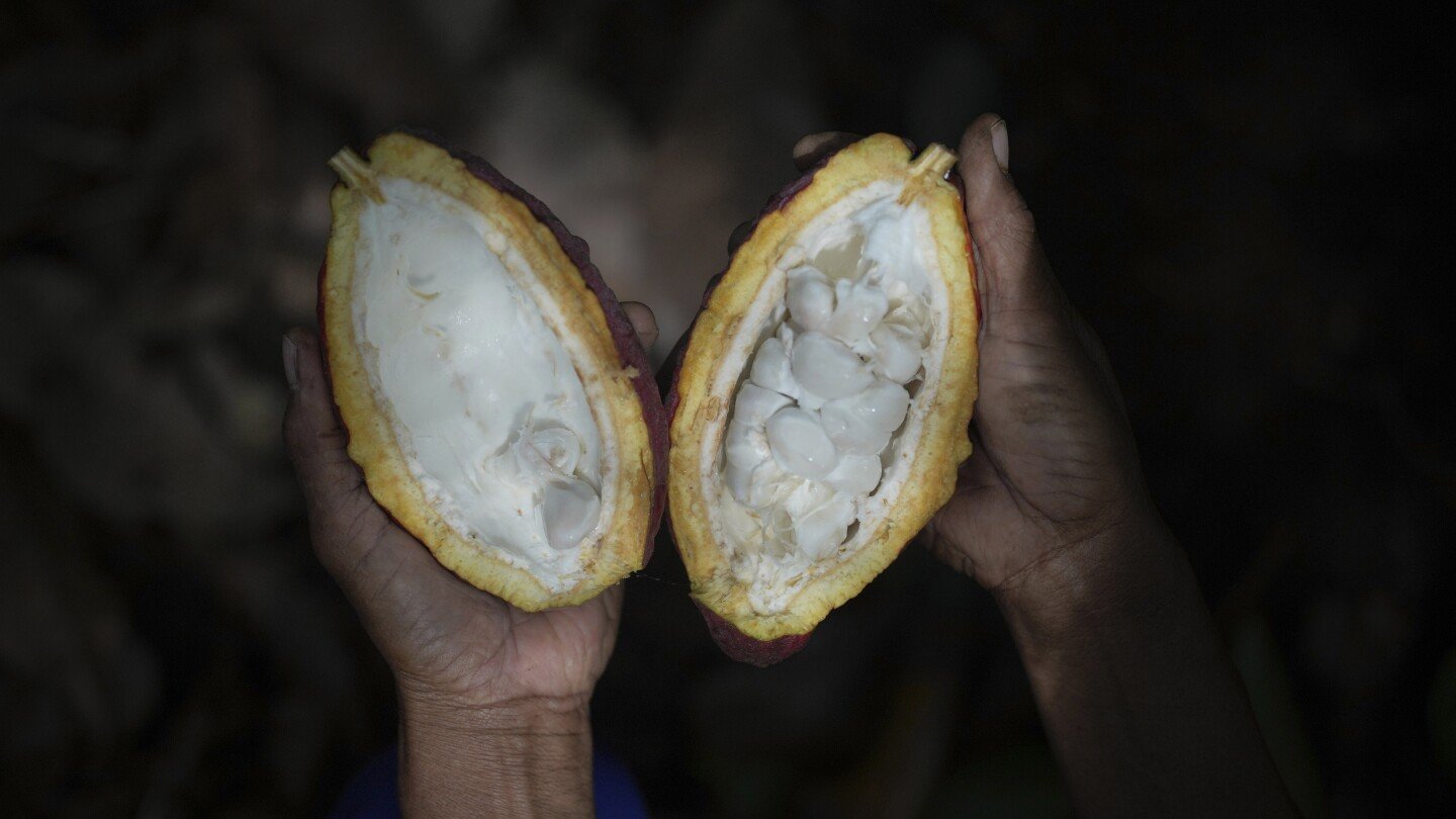 indonesia’s-cocoa-farmers-work-with-businesses-to-fight-the-bitter-impact-of-climate-change