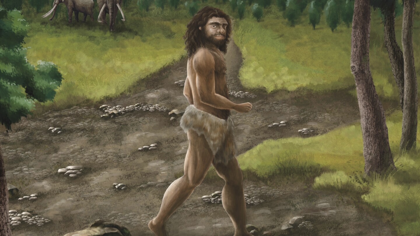 ancient-jawbone-from-taiwan-belongs-to-a-mysterious-group-of-human-ancestors,-scientists-say