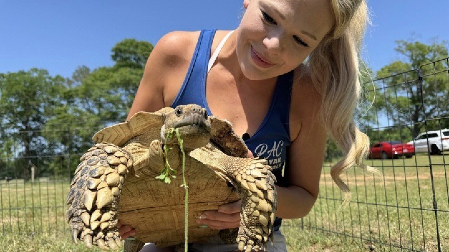 a-beloved-pet-tortoise-is-reunited-with-its-family-weeks-after-disappearing-in-a-mississippi-tornado