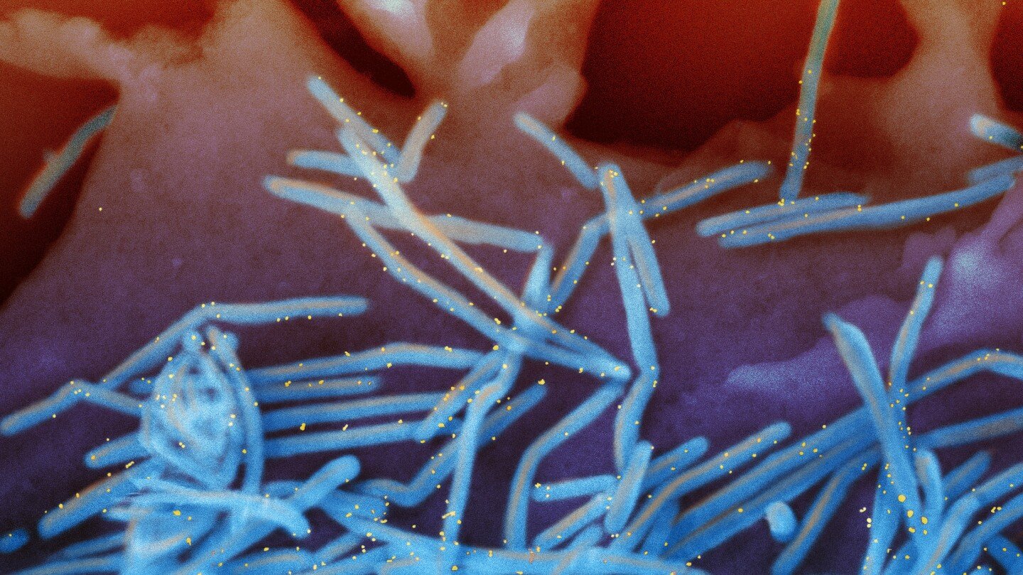 experts-make-new-recommendations-on-rsv-and-meningitis-vaccines,-but-it’s-unclear-what-happens-next