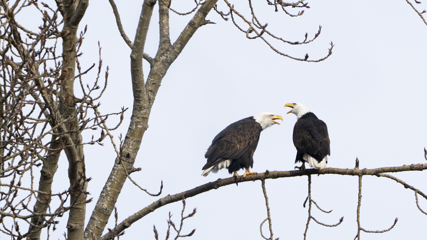 proposed-rule-change-on-endangered-species-triggers-alarm-for-environmentalists