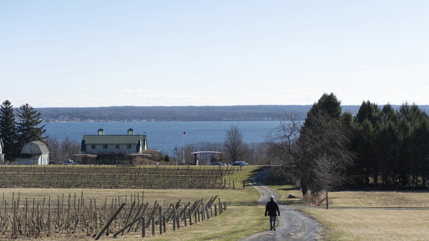 vineyards-in-ny-wine-country-push-sustainability-as-they-adapt-to-climate-change
