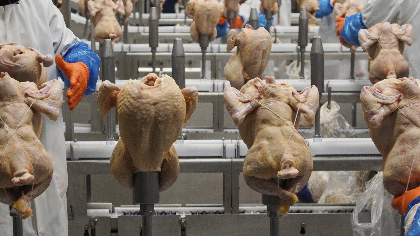 usda-withdraws-a-plan-to-limit-salmonella-levels-in-raw-poultry