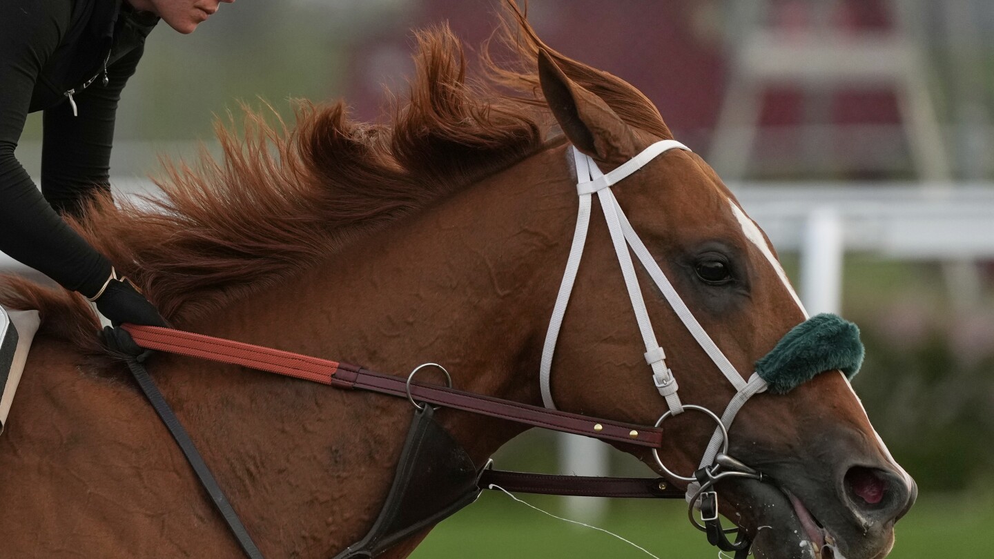 what-makes-a-kentucky-derby-champion?-big-hearts,-immense-lungs-and-powerful-legs