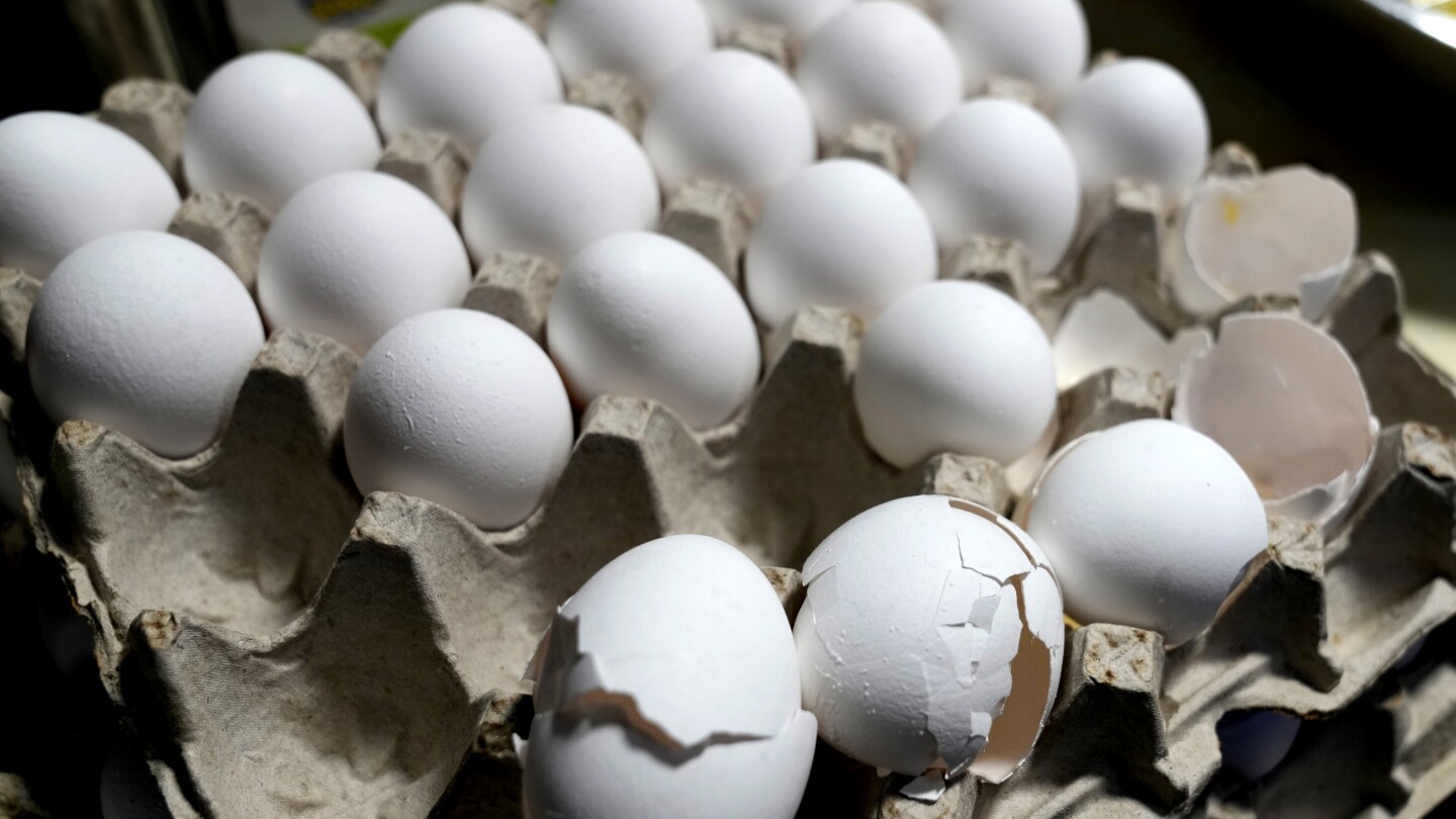 egg-prices-continue-to-increase-despite-bird-flu-outbreak-slowing